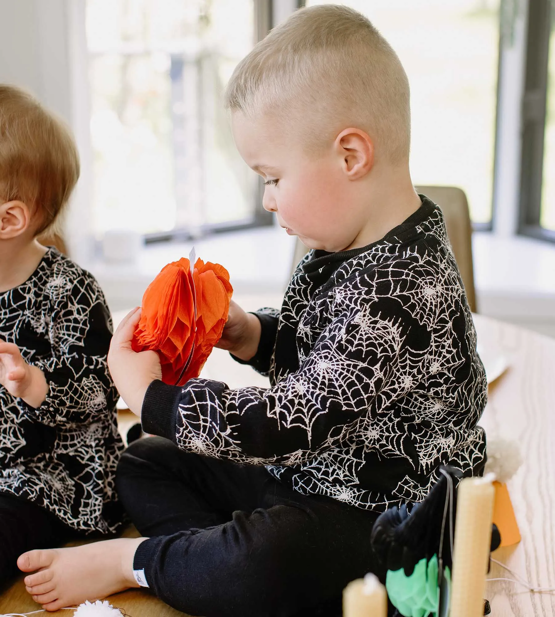 Burt's Bees Organic Baby Boy Spiderwebs Shirt and Pant Set