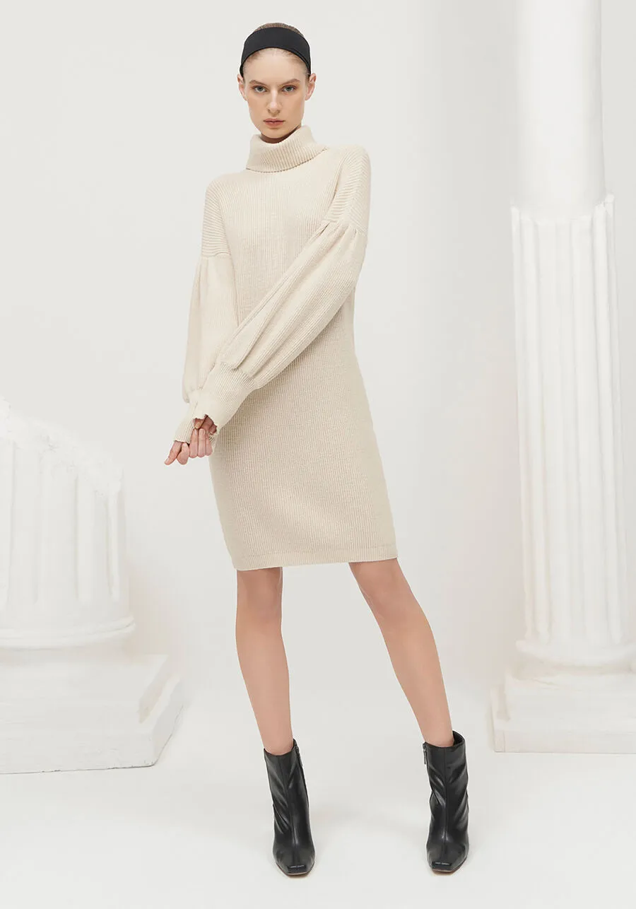 Knit Turtleneck Sweater Dress