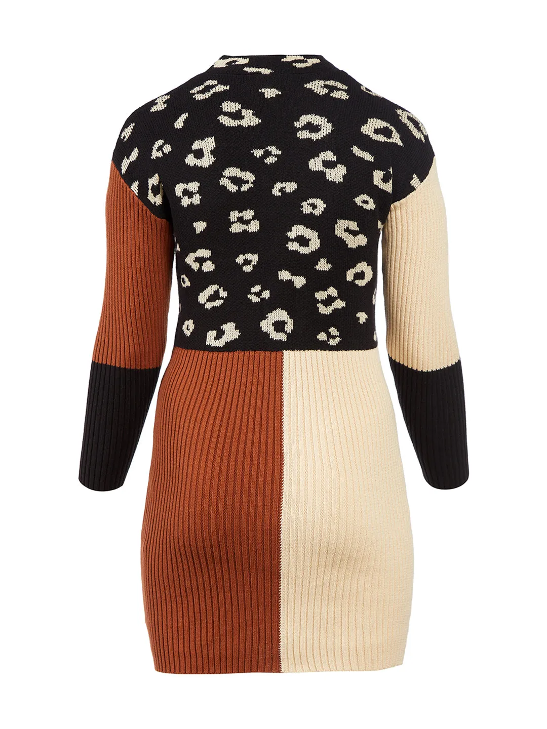 Leopard Print Color Block Sweater Dress