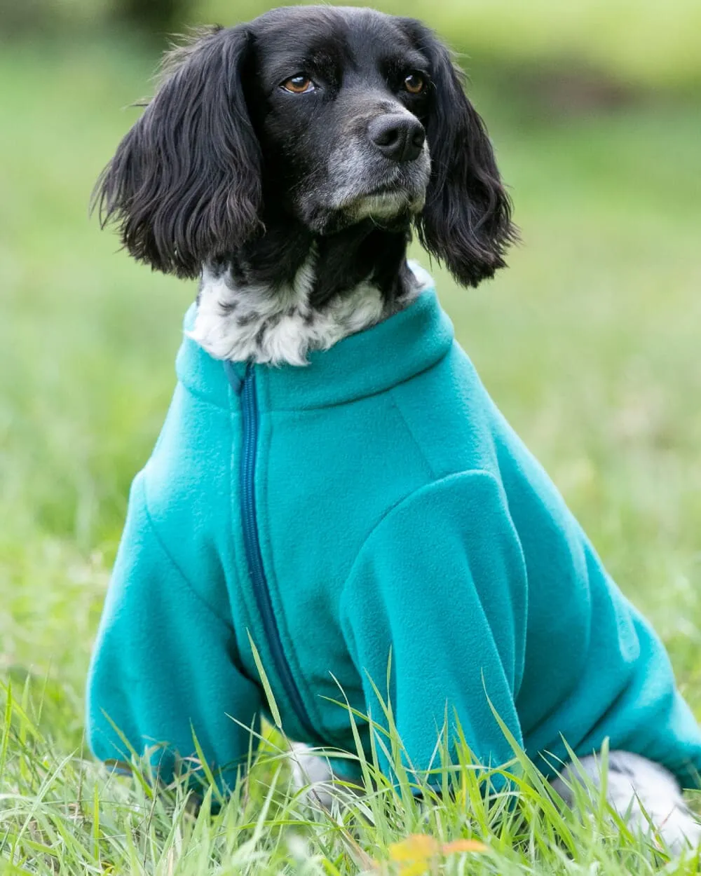 Outdoor Fleece Dog Jacket - Teal Green