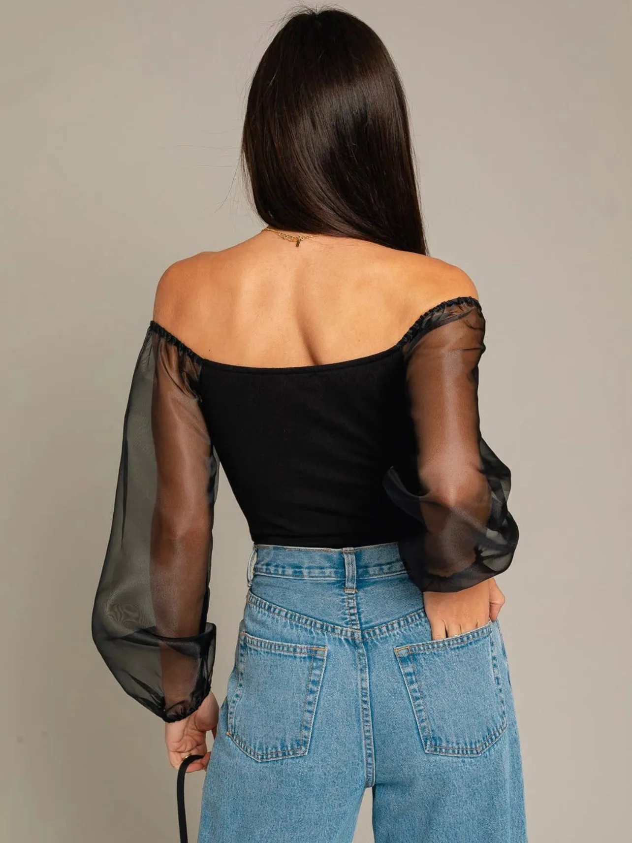 Sheer Sleeve Bodysuit